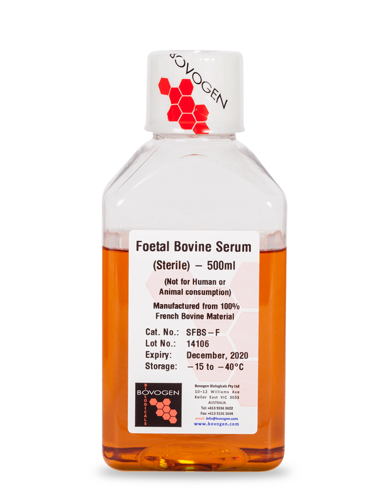 Foetal Bovine Serum - Sterile（フランス）